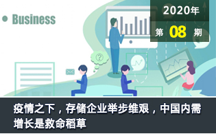 疫情之下，存储企业举步维艰，中国内需增长是救命稻草