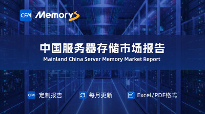 中国服务器存储市场报告